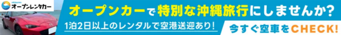 FireShot Capture 196 - 格安レンタカーの料金比較・予約｜乗り捨て可【エアトリ】 - [rentacar.airtrip.jp]