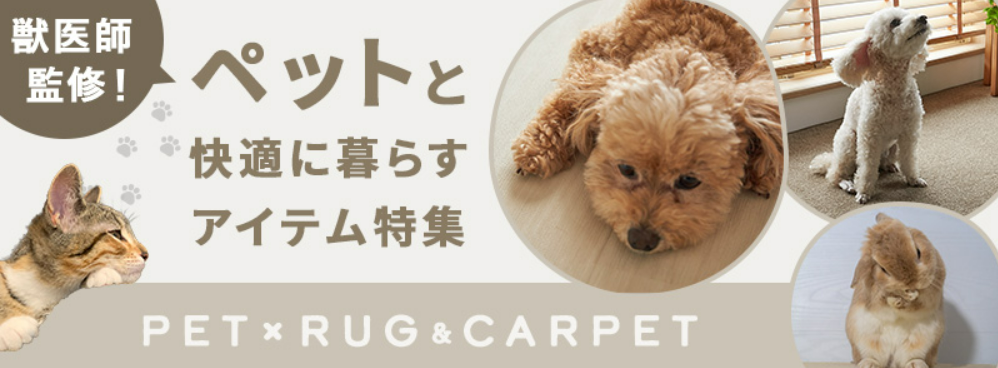 獣医師監修！愛する家族と快適かつオシャレに過ごす。ペット特集-10-07-2025_05_28_PM