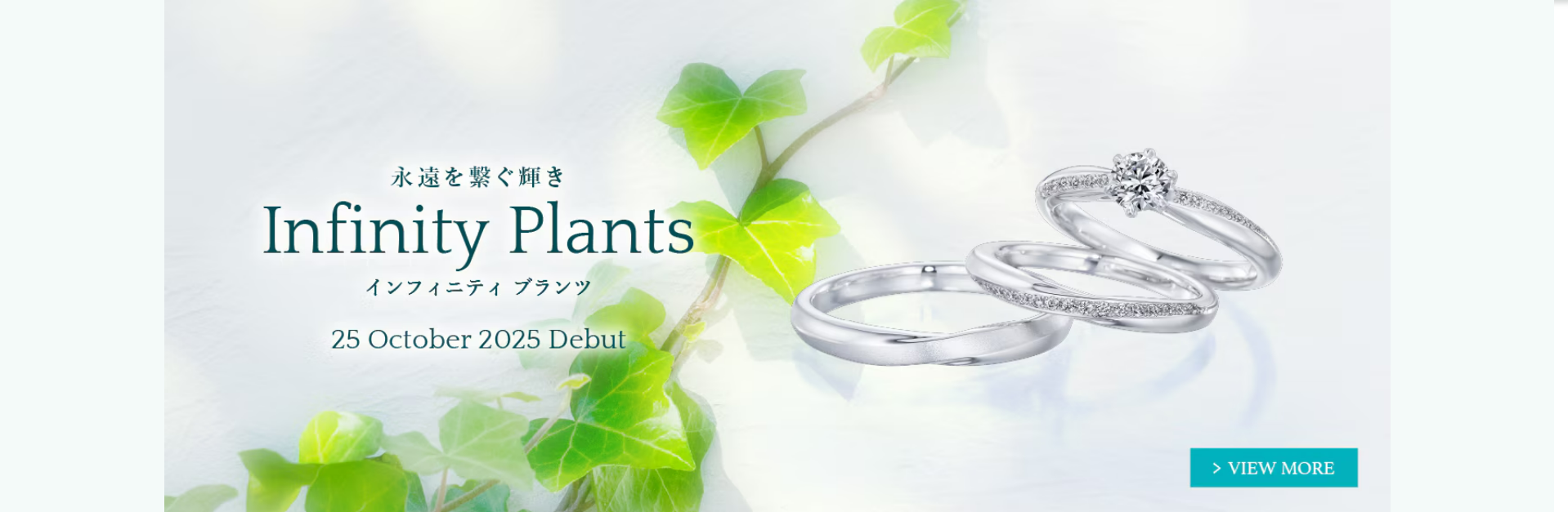銀座ダイヤモンドシライシ｜婚約指輪や結婚指輪の日本初の専門店-10-21-2025_02_43_PM