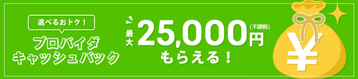 プロバイダキャッシュバック｜auひかり-お申し込みサイト-11-28-2025_06_32_PM