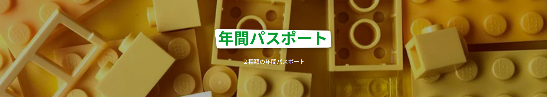 年間パスポート-レゴランド®-ディスカバリー-センター東京-11-11-2025_04_24_PM